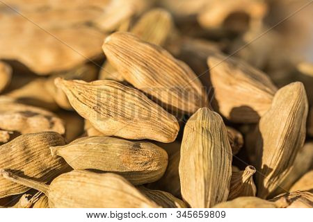 Closeup Macro Shot Of Dried Cardamom Pods