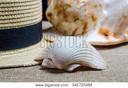 Vacation Still Life With Straw Hat And Sea Shells On The Mat