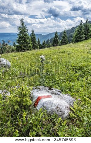 Big Fatra Mountains, Slovak Republic. Seasonal Natural Scene. Travel Destination. Hiking Theme.