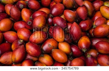 Tree Tomatoes Cyphomandra Betacea On A Farmers Market