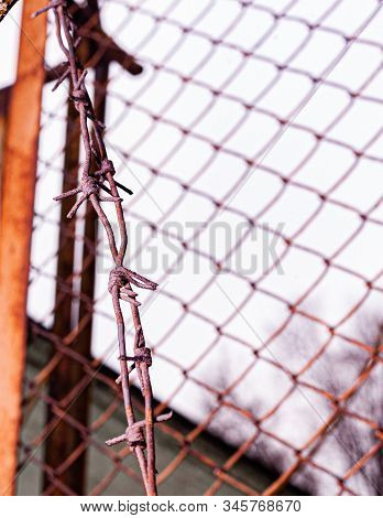Rusty Barbed Wire On The Fence.