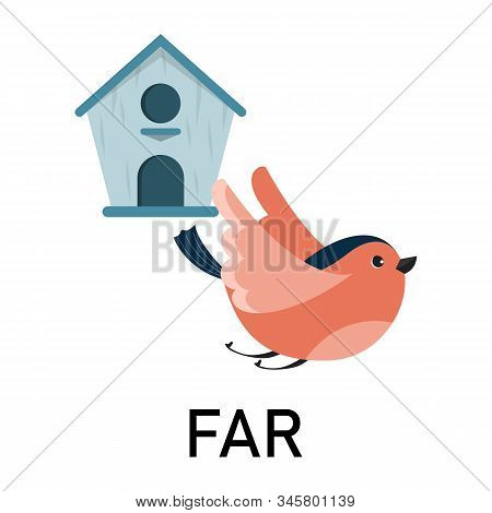 Bird And Birdhouse, Learning Preposition Vector Isolated.
