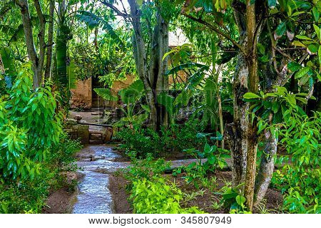 Tropical Garden In Sala Colonia And Islamic Complex Chellah, Mosque And Minaret. Chellah Is The Necr
