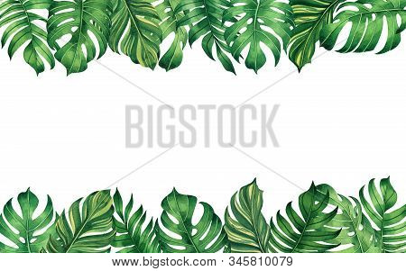 Watercolor Painting Frame Tropical Leaves Monstera,palm,green Leaf On White Background.watercolor Ha