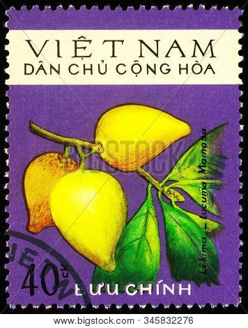Moscow, Russia - January 18, 2020: Stamp Printed In Vietnam Shows Branch With Lucuma Fruits (lucuma 