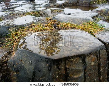 Iceland View Landscape Travel Kirkjugólf Floor Grass Stone Pattern