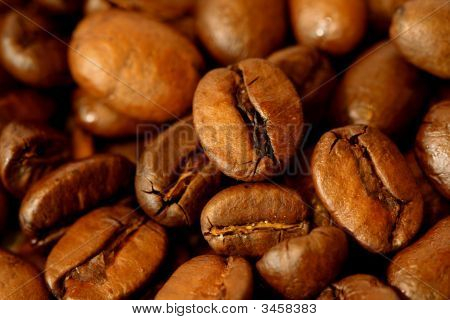 Closeup Of Coffee Beans Background