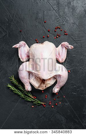 Raw Whole Poult With Rosemary And Pink Pepper. Black Background. Top View. Space For Text