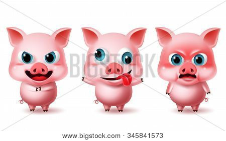 Pigs Character Standing Vector Set. Pig Animal Characters In Angry, Crazy And Naughty With Cute 3d A