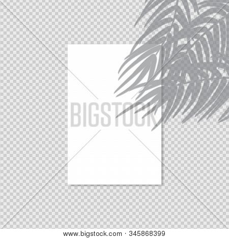Transparent Shadow Effect