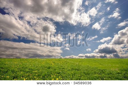 新鲜的夏季景观