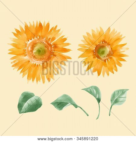 Beautiful Vector Illustration With Hand Drawn Summer Watercolor Sunflowers. Stock Artwork.