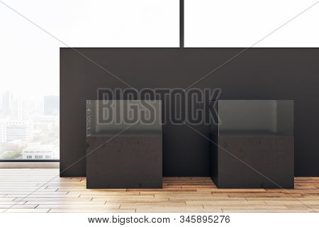 Minimalistic Gallery Interior With Empty Black Wall And Aquarium. Gallery, Advertisement, Presentati