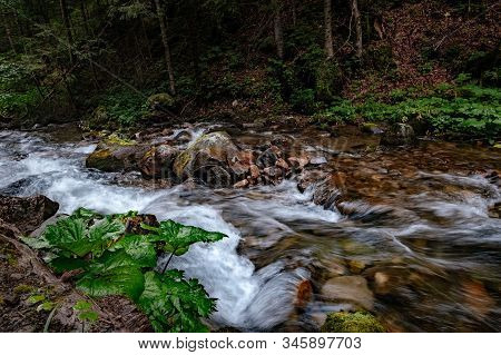 Mountain Stream In High Tatras National Park, Poland