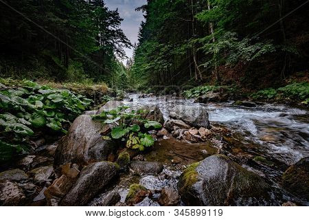 Mountain Stream In High Tatras National Park, Poland