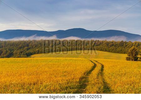 Morning fog under Vihorlat, Slovakia