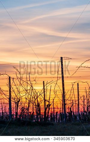 Sunset of Palava hill, South Moravia, Czech republic