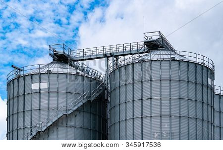 Agricultural Silo At Feed Mill Factory. Big Tank For Store Grain In Feed Manufacturing. Seed Stock T