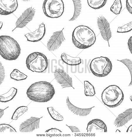 Sketch Coconut Pattern. Exotic Food Seamless Texture. Palm Leaves Vector Background. Coconut Flora F