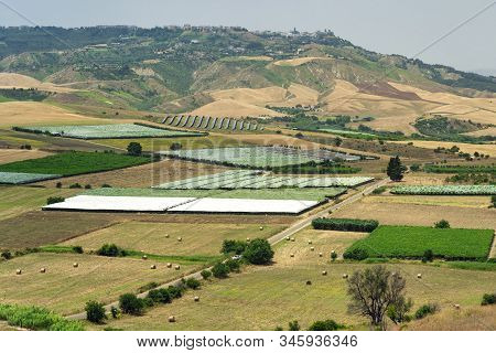 Rural Landscape Near Ginosa Di Puglia, Taranto, Apulia, Italy, At Summer.