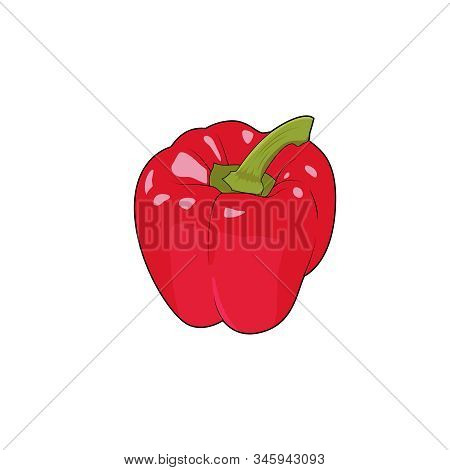 Bell Pepper Paprika Farm Vegetable. Healthy Raw Vegetarian Vegan Food. Isolated Vector Illustration 