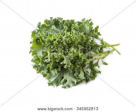 Kale Leaves Isolated On White Background. Top View. Kale Leaves With Copy Space For Text. Herbs Isol