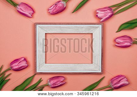 Pink Tulips And A White Empty Frame On Pink Colour Background
