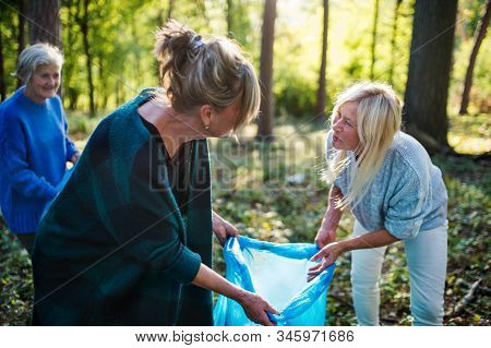 Senior Women Friends Picking Up Litter Outdoors In Forest, A Plogging Concept.