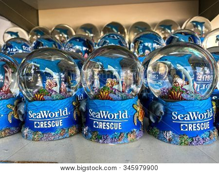 Orlando,fl/usa-1/17/20: A Shelf Of Manatee, Dolphin And Sea Turtle Souvenir Snowglobes  At Seaworld 