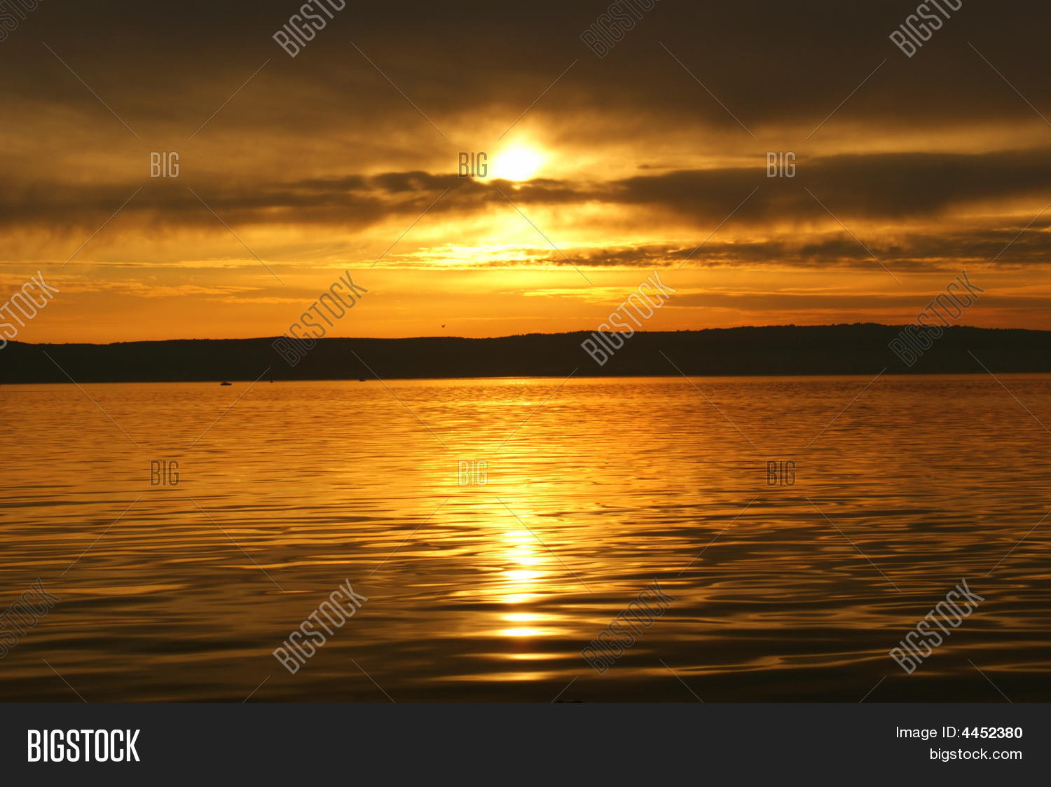 Image Preview