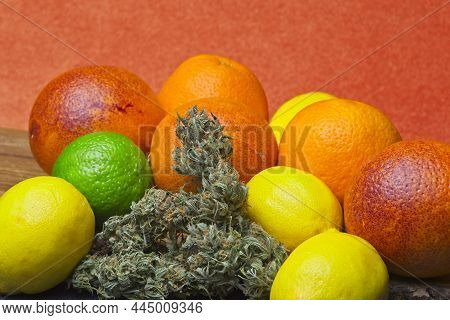 Cannabis Buds On Oranges Lime And Lemons