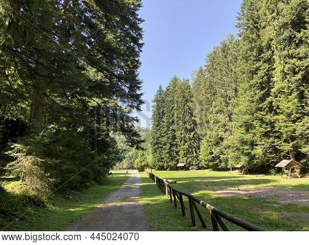 Golubinjak Forest Park In The Mountainous Region Of Gorski Kotar - Sleme, Croatia (park šuma Golubin