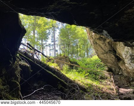 Ice Cave In The Forest Park Golubinjak, Sleme - Gorski Kotar, Croatia (ledena Spilja U Park šumi Gol