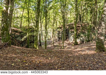Nature Landscape With Two Rock Formations With Abundant Green Leafy Trees With Thin Trunks Fading In