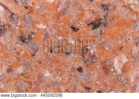 Frozen Raw Minced Salmon Fish Used For Dog Food