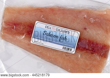 Lab Grown Cell Cultured Salmon Fish Concept For Artificial In Vitro Seafood Production With Frozen P