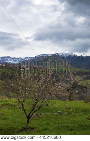 Garni Gorge, Kotayk Region, Near The Village Of Garni. It Is Represented By Five High, Often Hexagon
