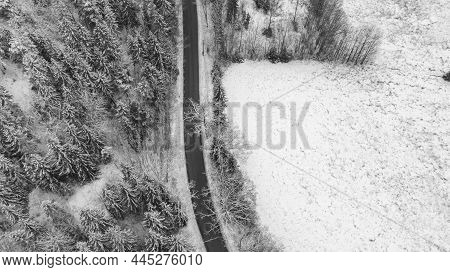 Road In A Forrest During The Winter Season. High Quality Photo