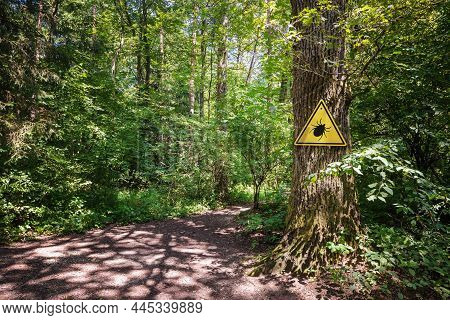 Tick Insect Warning Sign In Nature Forest. Danger Of Lyme Disease, Borrelia And Meningitis.