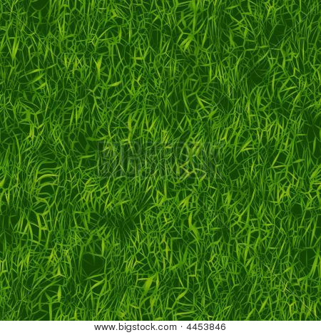 Groen gras patroon