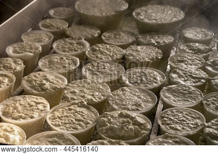 Process Of Making Fresh White Soft Ricotta Whey Cheese On Small Cheese Farm In Parma, Italy