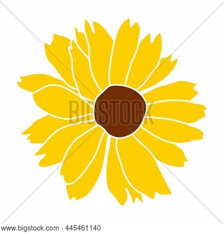 Open Heliopsis Blossom Vector Color Illustration Isolated On White Background. Vector Sketch Style T