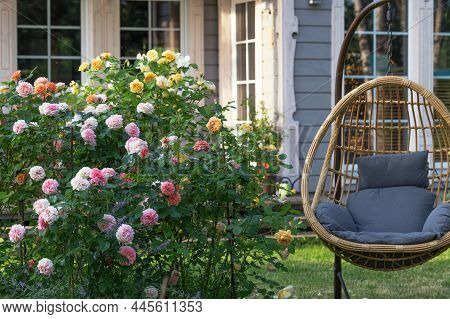 Romantic Sitting Area In The Rose Garden, Round Wooden Table And Chairs Near The Large Flowering Bus
