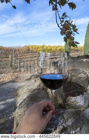 Tasting Of Red Sangiovese Wine With Typical Hilly Vineyards And Cypress Tree On Background Near Mont