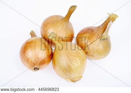 4 Heads Of Golden Onions On White Background. Studio Photo