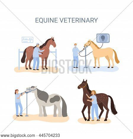 A Vector Concept Of Equine Medical Procedures