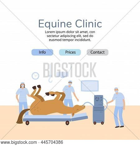 A Vector Banner Of Equine Colics Surgery