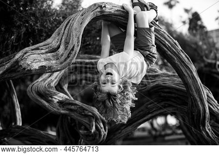 Child Climbing Tree. Smiling Funny Kid Clim Tree In The Garden.