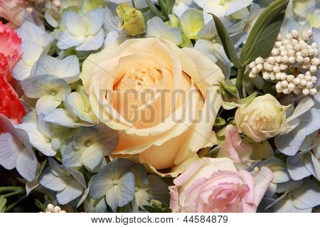 Steg i blomma bakgrund