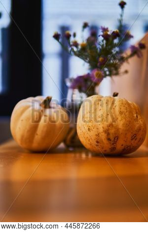 Decoration Two Matured Orange Pumpkin On Orange Steps With Flower On Background And Window Backgroun